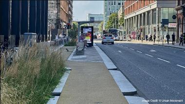 Segregated Cycle Lane (Reduced Street Clutter)