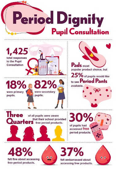 Period dignity pupil consultation