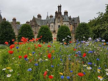 Tollcross Park